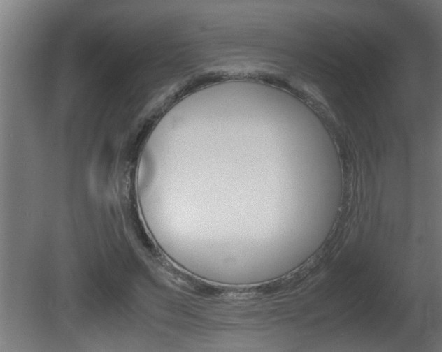 X0000081350495200701111110