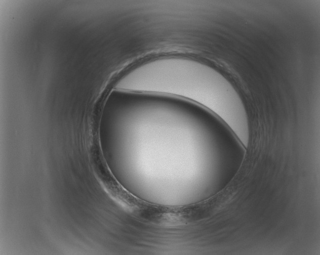 X0000081350496200701111110