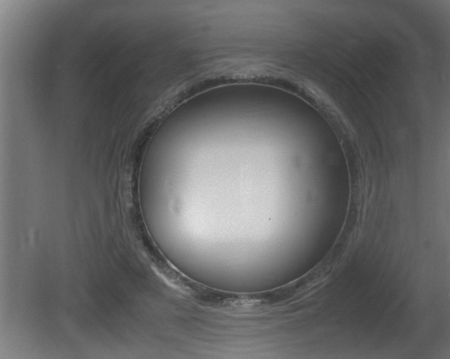X0000081350497200701111110