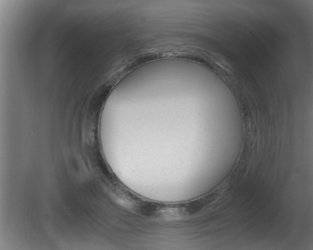 X0000081350499200701111110