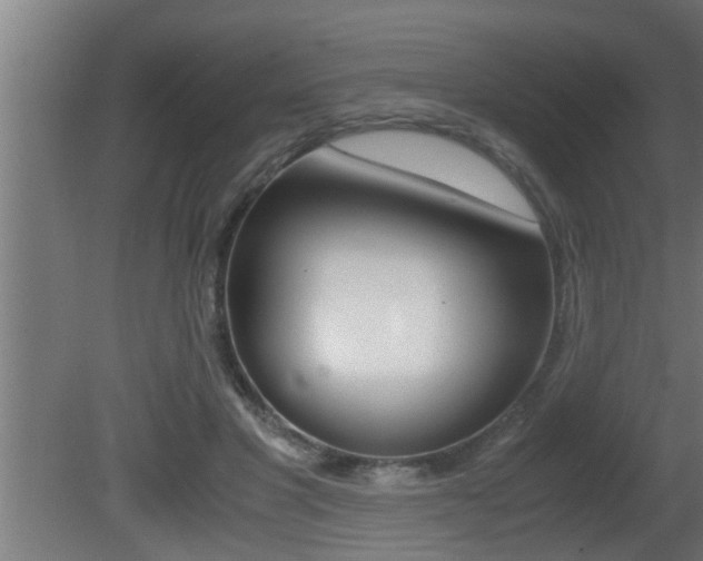 X0000081350501200701111110