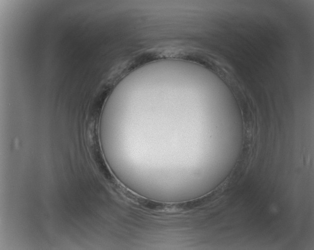 X0000081350503200701111110