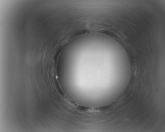 X0000081350515200701111109