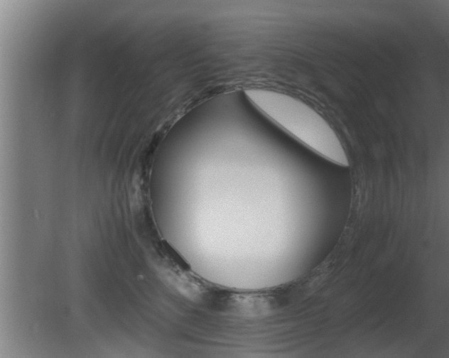 X0000081350520200701111109