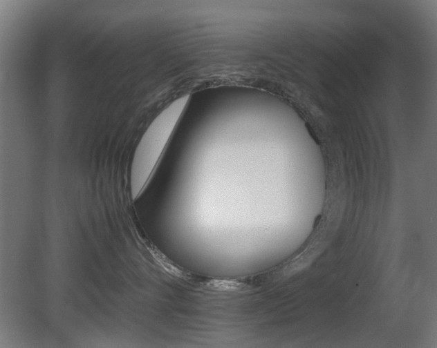 X0000081350528200701111109