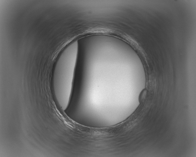 X0000081350529200701111108