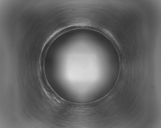 X0000081350532200701111108
