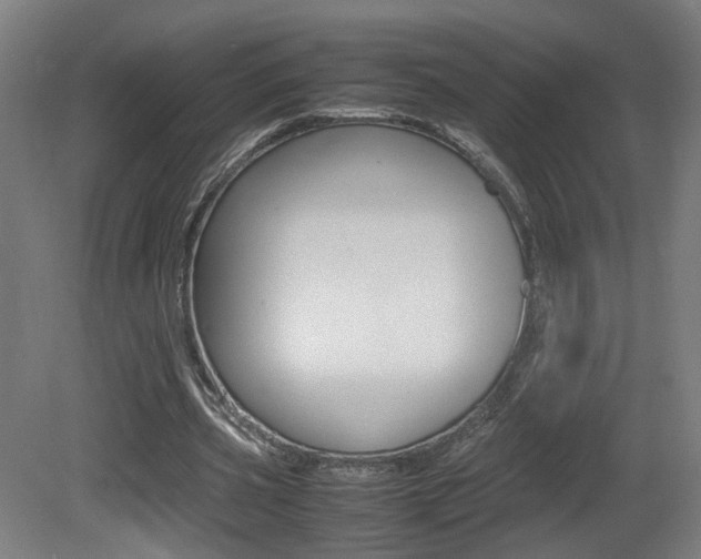 X0000081350533200701111108