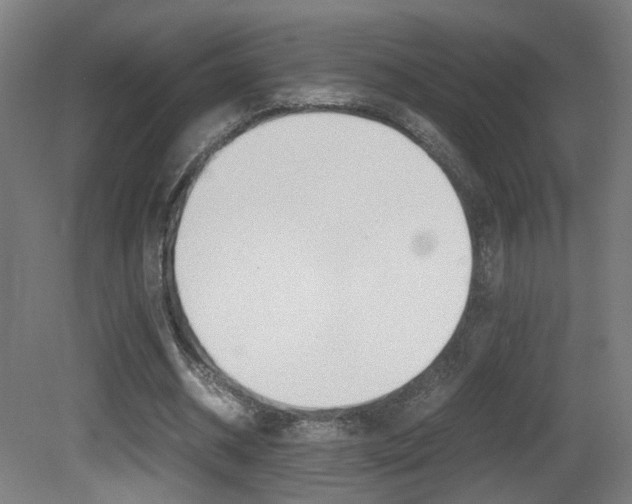 X0000081350534200701111108