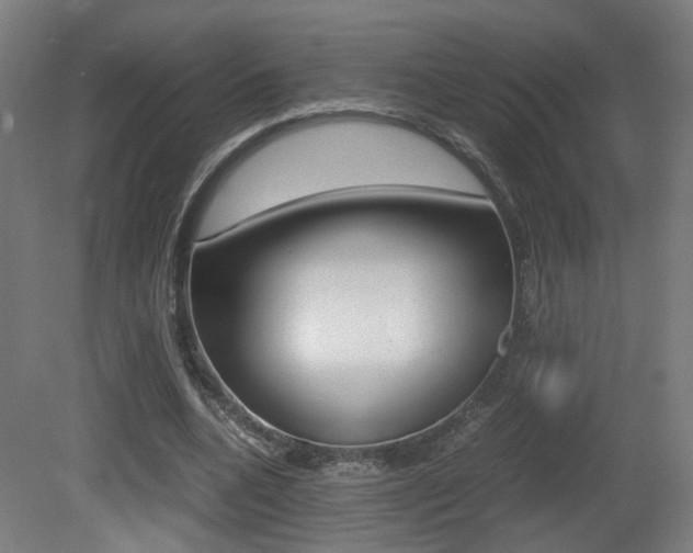 X0000081350536200701111108