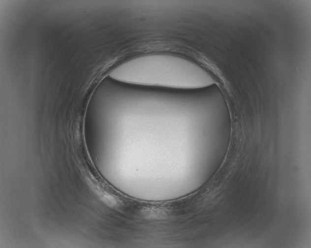 X0000081350537200701111108