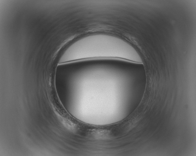 X0000081350539200701111108