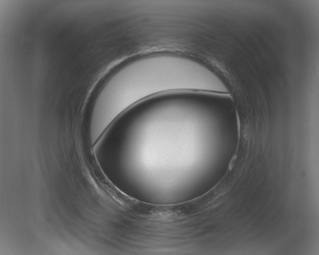 X0000081350540200701111108