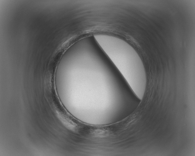 X0000081350542200701111109