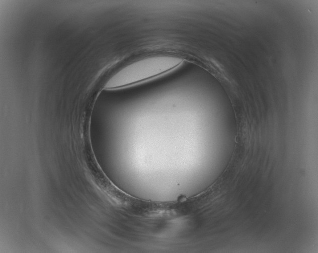 X0000081350543200701111109