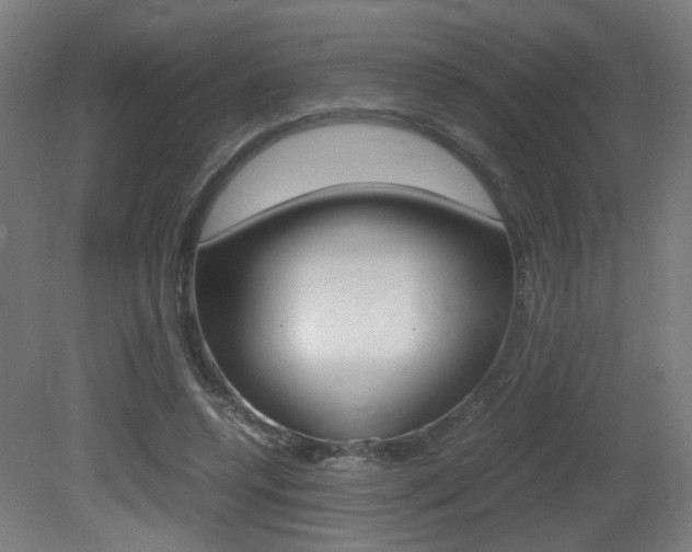 X0000081350544200701111109