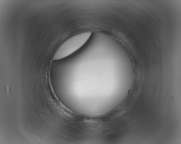 X0000081350545200701111109