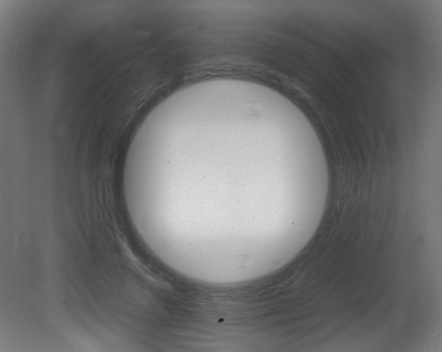 X0000081350546200701111109