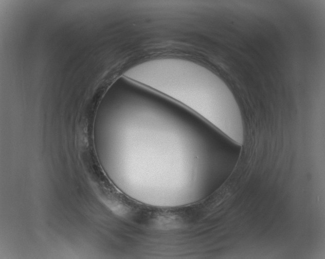X0000081350547200701111109