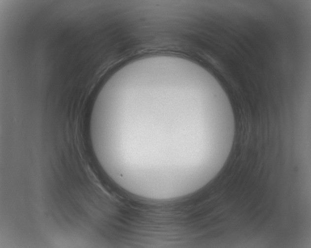 X0000081350548200701111109