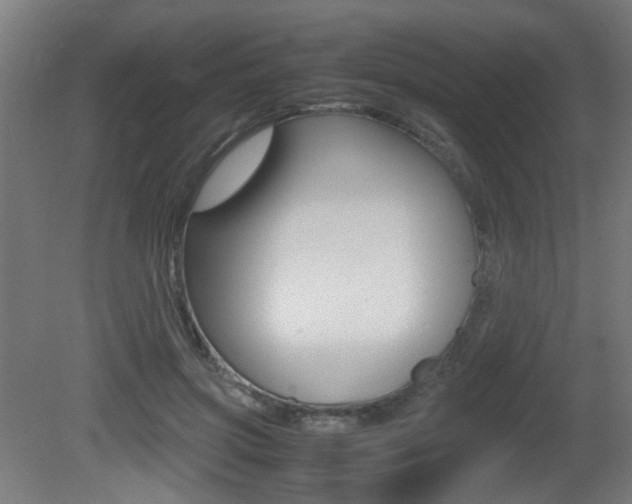 X0000081350549200701111109