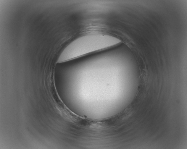X0000081350550200701111109