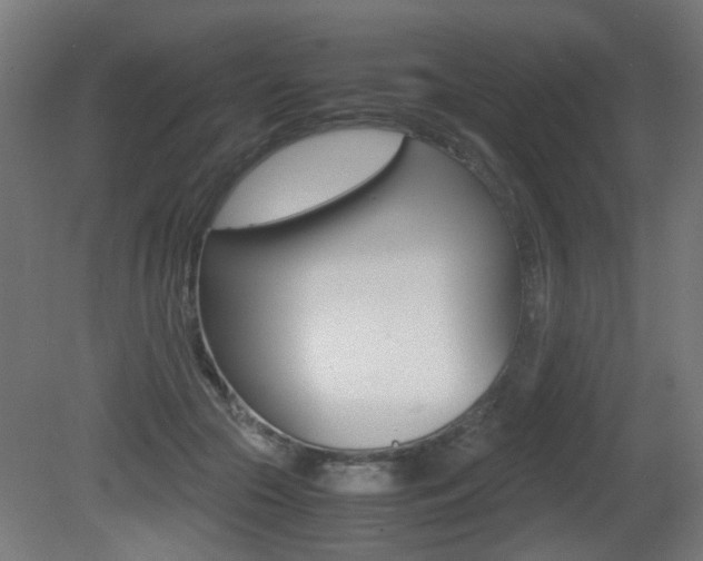 X0000081350553200701111109