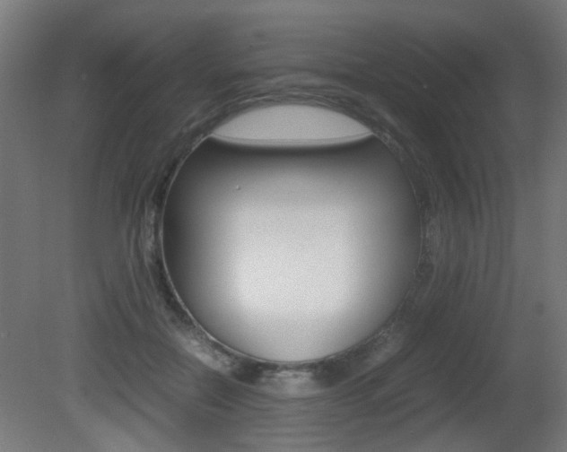 X0000081350554200701111109