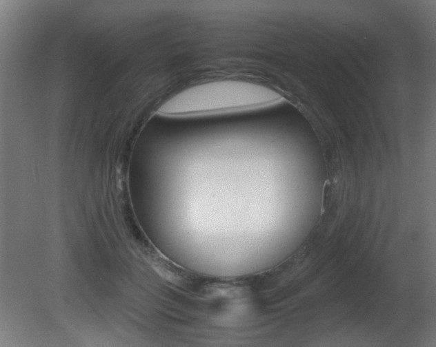 X0000081350555200701111109