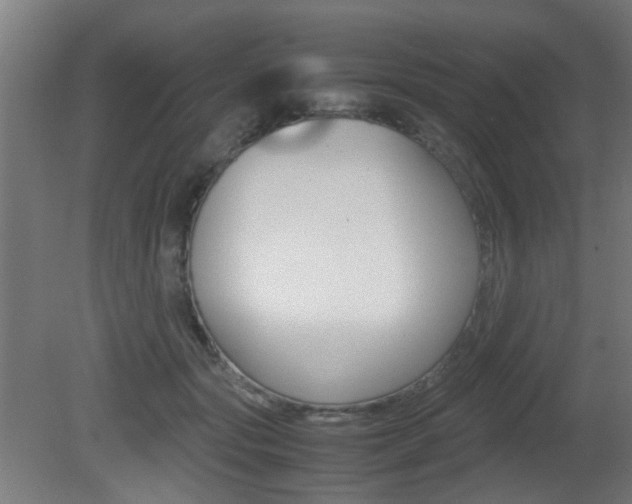X0000081350557200701111109