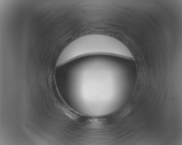 X0000081350558200701111109