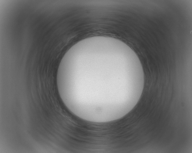 X0000081350559200701111109