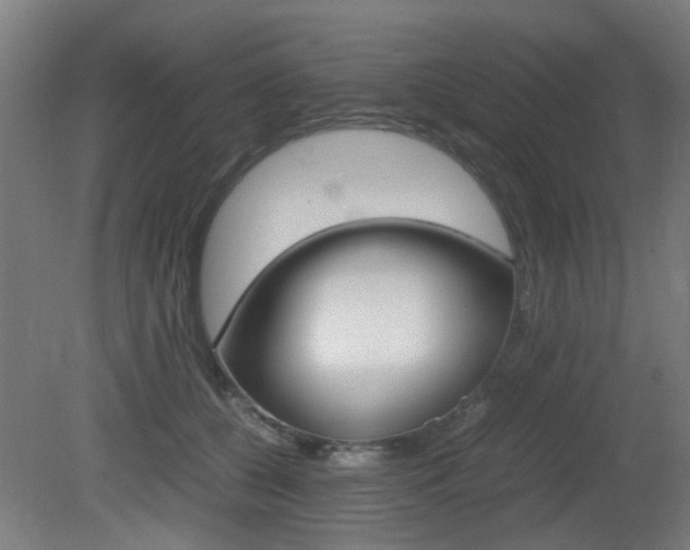 X0000081350560200701111109