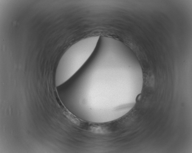 X0000081350561200701111109