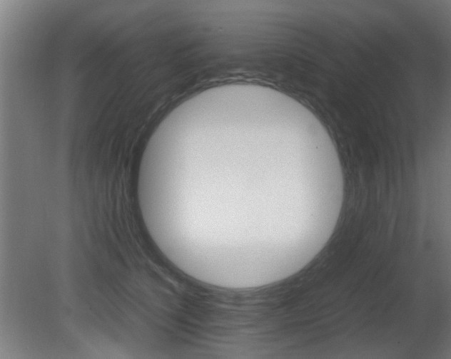 X0000081350564200701111109