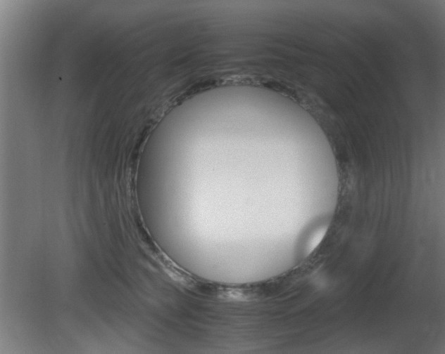 X0000081350565200701111109