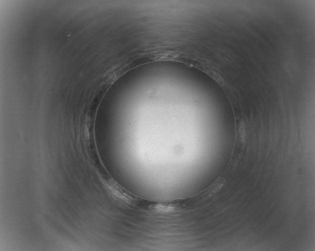 X0000081350570200701111109