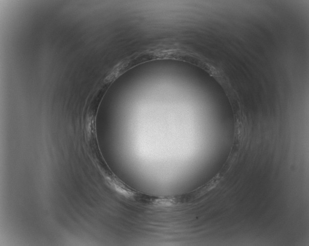 X0000081350574200701111109