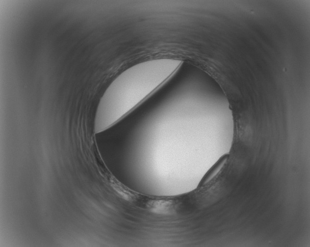 X0000081350575200701111109