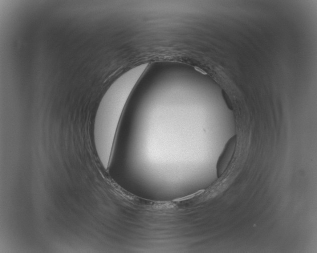 X0000081350576200701111109