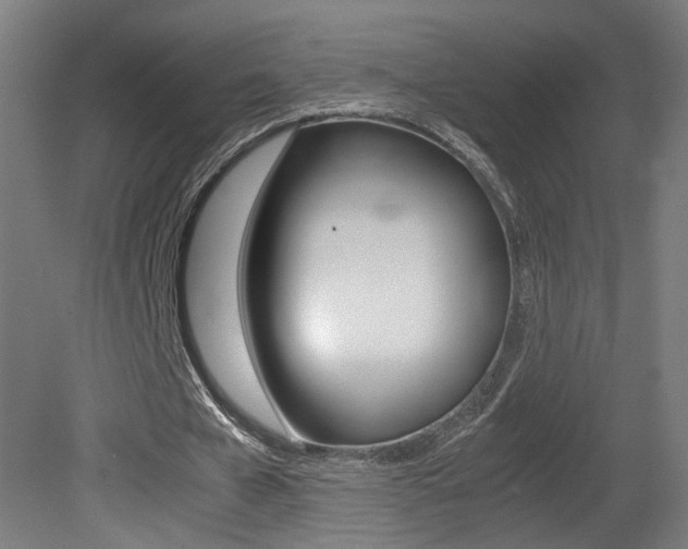 X0000081350577200701111108