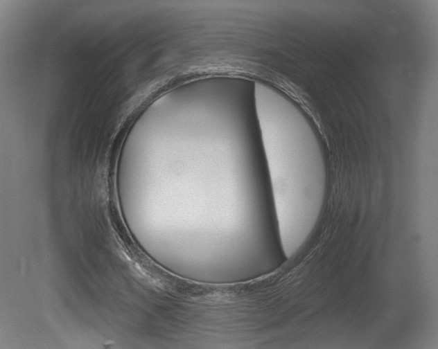X0000081350578200701111108