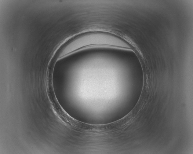 X0000081350580200701111108