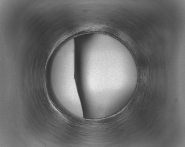 X0000081350582200701111108