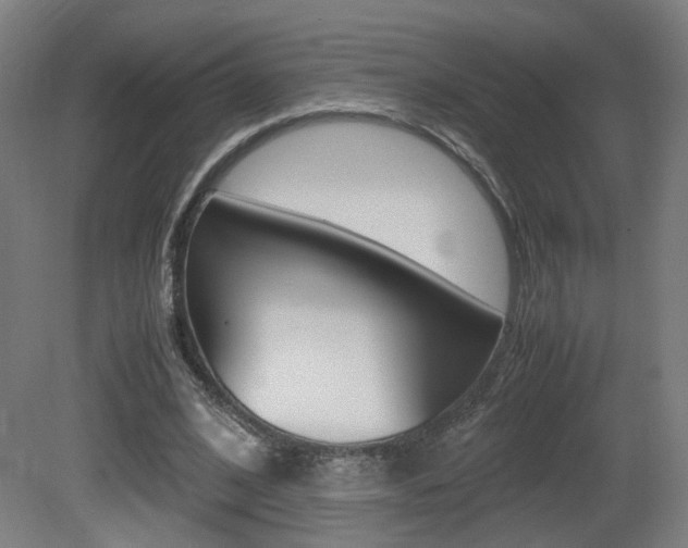 X0000081350584200701111108