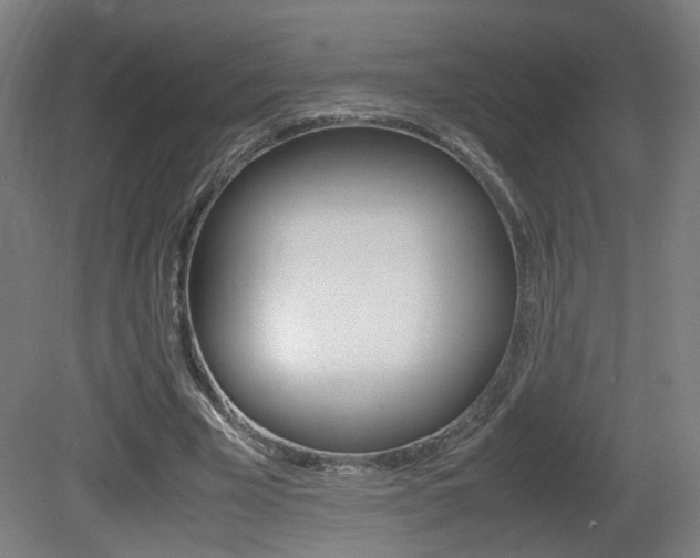X0000081350585200701111108