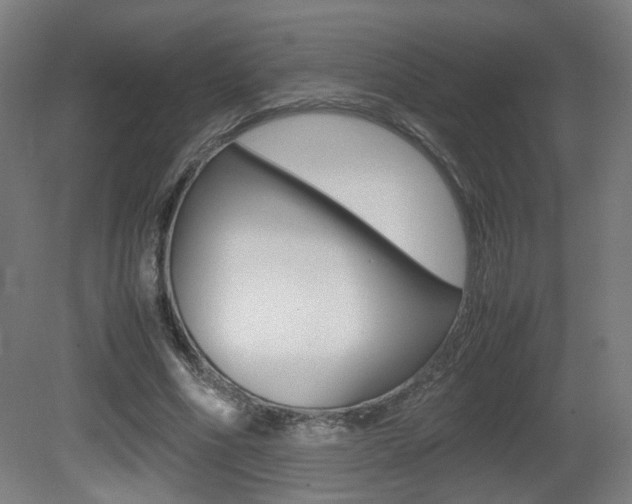 X0000081350586200701111108
