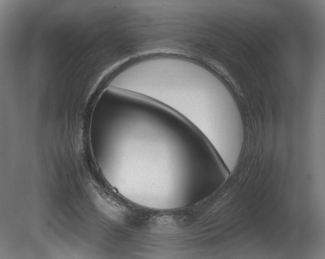 X0000081350588200701111108