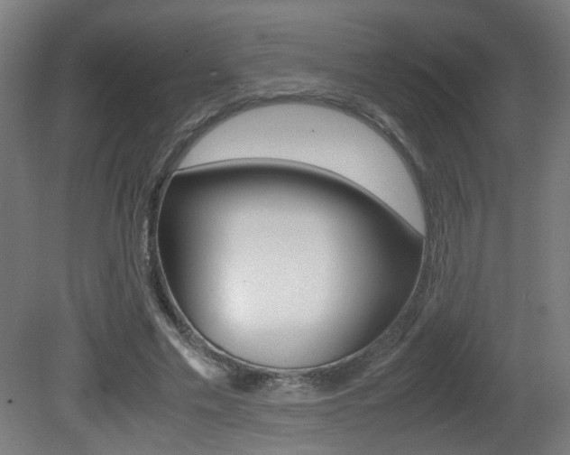 X0000081350589200701111108