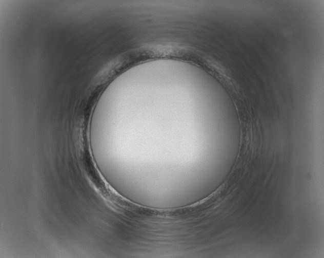 X0000081350590200701111108